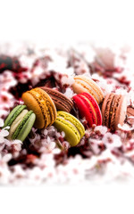 French macarons and cherry blossom branch