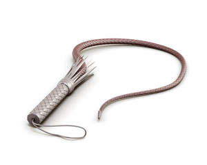 Whip isolated on white background. 3d rendering.