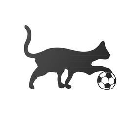 cat soccer