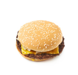 Fresh hamburger isolated
