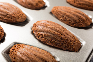 Chocolate madeleines cookies