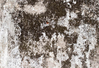 white concrete wall texture