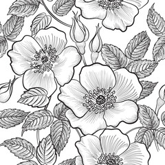 Floral seamless pattern. Flower background. Floral texture