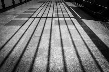 Casting long shadows on the ground monochrome
