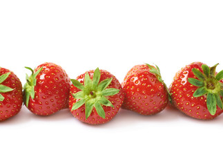 Line of red strawberries isolated
