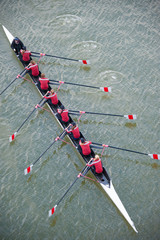 Crew Team in Competition