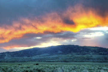 Obraz premium Sunrise over green field in The Grand Tetons.