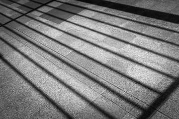 Casting long shadows on the ground monochrome