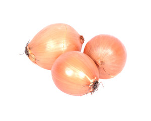 Fresh organic onion separated on white background