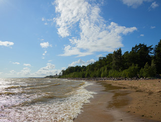 Sunny windy day with clouds