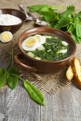 Soup of sorrel and nettles with eggs