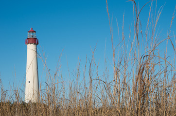 lighthouse and grass