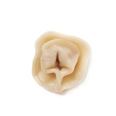 Single cooked dumpling isolated