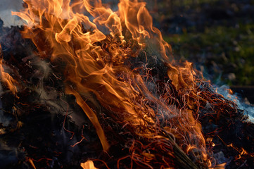 Bonfire closeup witth smoke