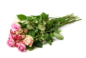 Pile of rose flowers isolated
