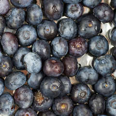 Surface coated with bilberries