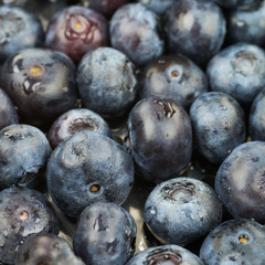 Surface coated with bilberries