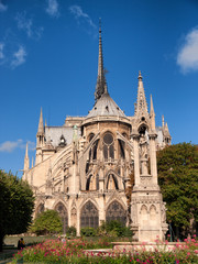 Fototapeta na wymiar Notre Dame from Square du Jean XXIII, Paris. Full length, vertical shot
