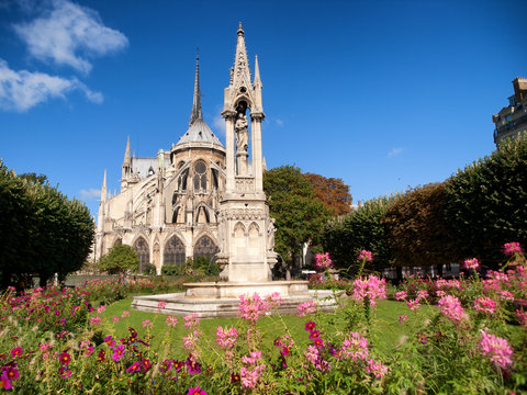 Notre Dame from Square du Jean XXIII, Paris. Wide angle horizontal shot with flowers on foreground