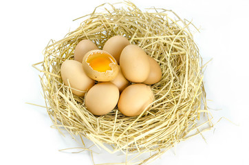 Brown eggs in a nest