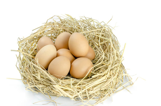 Brown eggs in a nest