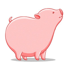 funny cartoon cute  fat pig illustration