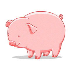 funny cartoon cute  fat pig illustration