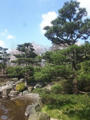 Fototapeta na wymiar Japanischer Steingarten