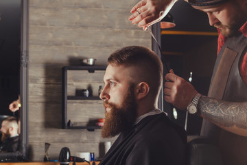 Bearded Man In Barbershop