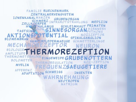 Thermorezeption