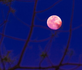 Abstract background. full moon.