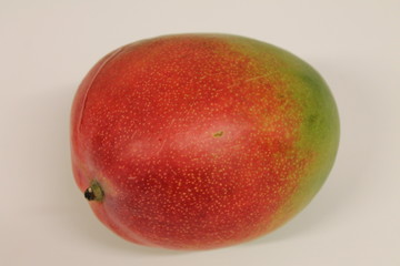 mangue