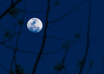 Abstract background. full moon.