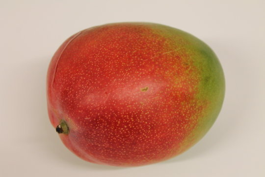 mangue