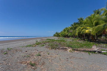 The wild tropical beach in Caribbean island
