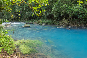 A scenic view blue river of the  jungle, Landscape