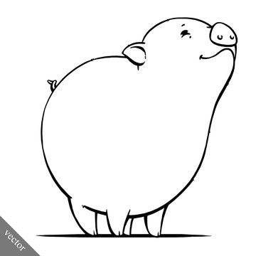 funny cartoon cute vector fat pig illustration