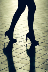 Female legs in shoes