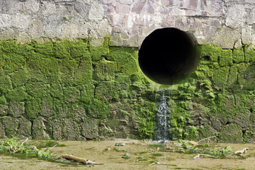 Drainage pipe in a stone wall with green mud.