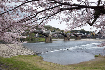 Fototapeta na wymiar 桜と錦帯橋