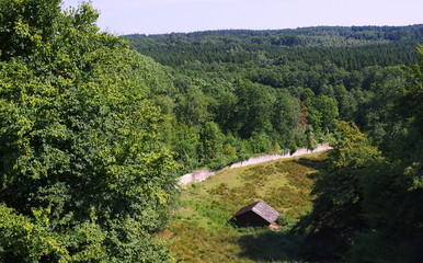 Blick von der Sababurg-I-Deutschland