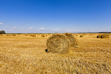 Fototapeta premium haystacks straw , summer