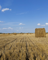 Fototapeta na wymiar haystacks straw, summer