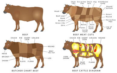 Beef chart