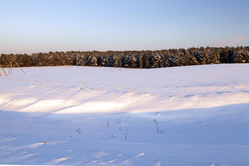 the field covered with snow  