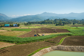 Landscape of mountain and farm