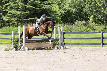 equestrian riding in hunter and jumper ring