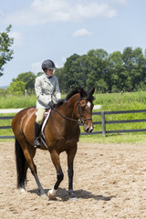 equestrian riding in hunter and jumper ring