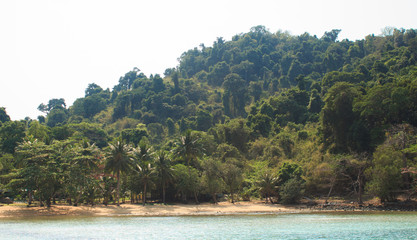 rocky shore boats and coconut trees in the island