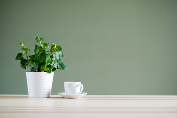 green plant and coffee cup on desk
